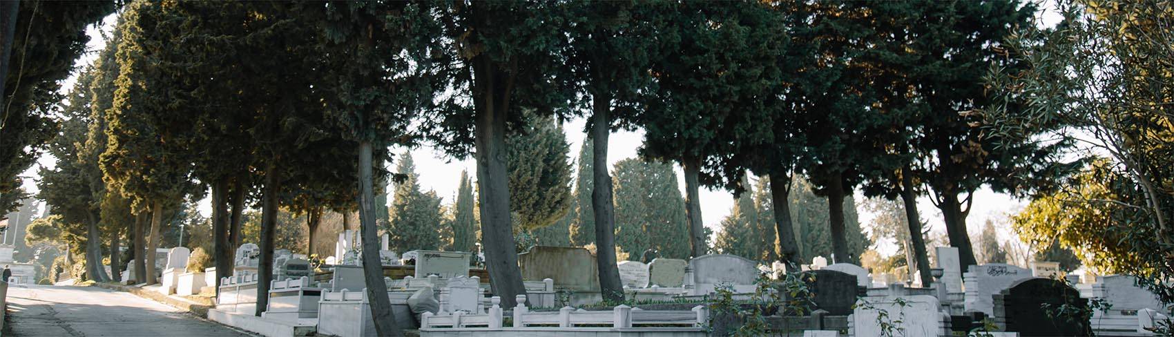 Immagine Servizio gestione del cimitero